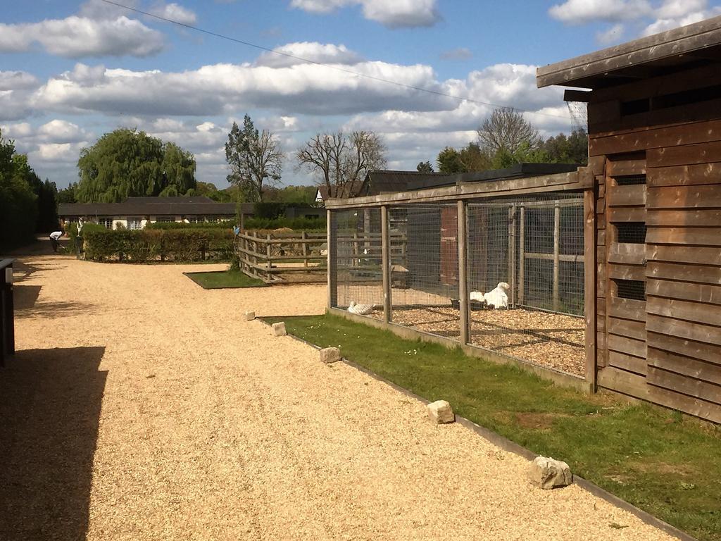 Willow Court Farm Studio West & Petting Farm, 8 Mins To Legoland & Windsor, 15 Mins To Lapland Uk Vila Exterior foto